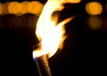 राज्यात वनविभागातील १२,९९१ अस्थायी कर्मचाऱ्यांचं भविष्य धोक्यात? ७ फेब्रुवारीला ‘दक्षता सेने’चा एल्गार!