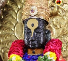 मकर संक्रांतीच्या पार्श्वभूमीवर महिला भाविकांसाठी विठ्ठल दर्शनाची विशेष व्यवस्था