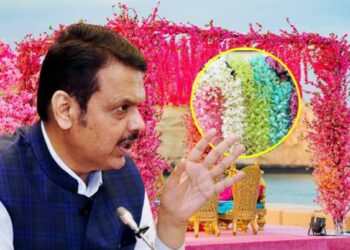 लग्नसमारंभात प्लास्टिक फुलांच्या सजावटीवर बंदी! – मुख्यमंत्र्यांची घोषणा