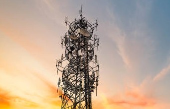 जंगलांच्या प्रभावी संरक्षणासाठी वन विभागाचे महत्वपूर्ण पाऊल!