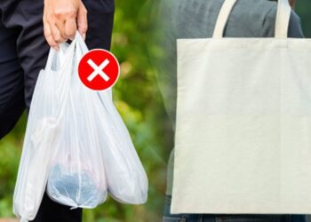 मिरा-भाईंदरकरांनो सावधान! आता प्लास्टिक पिशव्यांचा वापर पडणार महागात, पालिकेचा दंड वसुलीचा दणका