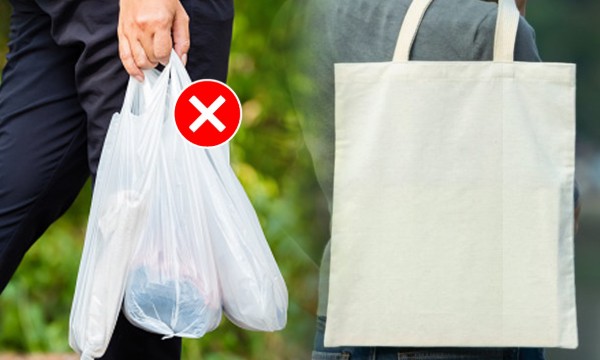 मिरा-भाईंदरकरांनो सावधान! आता प्लास्टिक पिशव्यांचा वापर पडणार महागात, पालिकेचा दंड वसुलीचा दणका