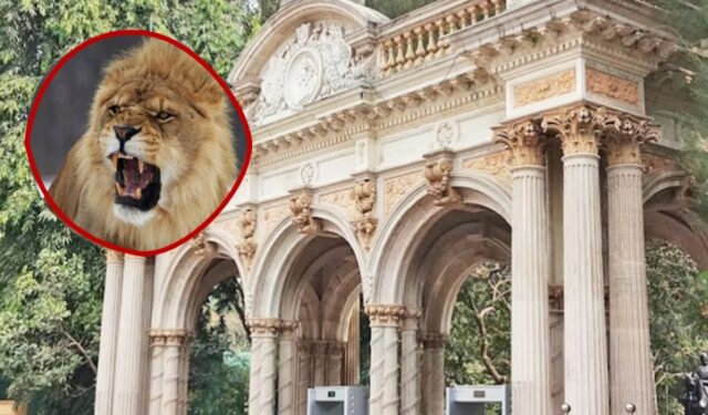 राणी बागेत पेंग्विनपाठोपाठ आता घुमणार गुजरातच्या सिंहांची डरकाळी!