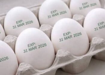आता प्रत्येक अंड्यावर असेल ‘एक्सपायरी डेट’! १ एप्रिलपासून नवा नियम लागू
