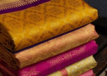 महाराष्ट्राच्या पैठणीचा डौल आता दिल्लीत; १९ मार्चपासून ‘महाराष्ट्र साडी महोत्सव’!