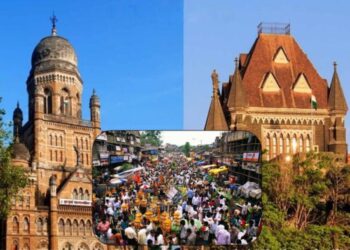 मुंबईतील सर्व फेरीवाल्यांची सखोल पडताळणी करा! उच्च न्यायालयाचे महापालिकेला आदेश