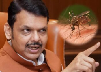 जपानी मेंदूज्वरावर महाराष्ट्राची कडक नजर; लसीकरण मोहिमेला वेग – मुख्यमंत्री देवेंद्र फडणवीस