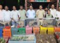 नंदुरबार वनविभागाची मोठी कारवाई; ‘कॅरेट’च्या आडून चालणारी कोल्हे आणि दुर्मिळ पक्ष्यांची तस्करी उघड
