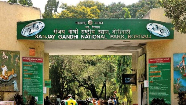 संजय गांधी राष्ट्रीय उद्यानाचे नाव बदलणार? ‘या’ नावाचा विचार