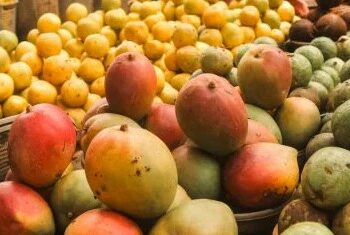 जपानने भारतीय आंब्यांवर पुन्हा घातली बंदी; हापूस-केसर निर्यातीला मोठा धक्का!