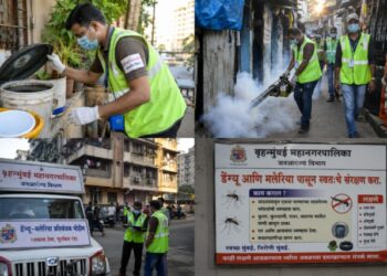 डेंगी-मलेरियाविरोधात महापालिकेची मोठी मोहीम; ३२ लाख घरांची तपासणी!