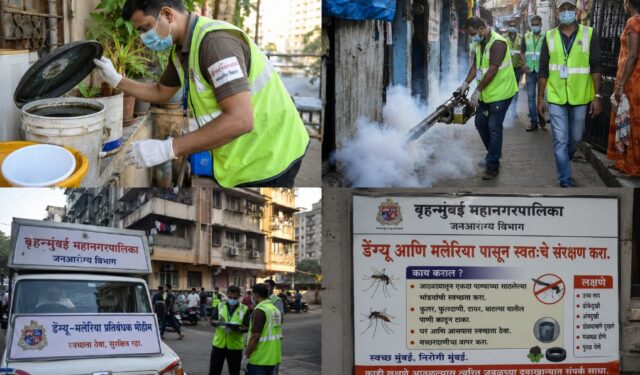 डेंगी-मलेरियाविरोधात महापालिकेची मोठी मोहीम; ३२ लाख घरांची तपासणी!
