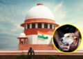 शाळा, रुग्णालये आणि सार्वजनिक ठिकाणांवरून भटकी कुत्री हटवण्याचे आदेश कायम; प्रत्येक जिल्ह्यात ABC केंद्र उभारण्याचे सर्वोच्च न्यायालयाचे निर्देश