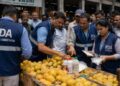 नवी मुंबईत कृत्रिमरीत्या आंबे पिकवण्यासाठी रसायनांचा वापर; FDA आणि APMC प्रशासनाची संयुक्त कारवाई