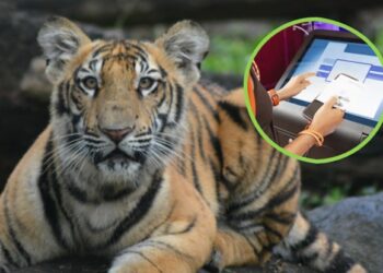 प्राणीसंग्रहालयात आता ‘सेल्फ सर्व्हिस तिकीटिंग कियोस्क’; तिकीट प्रक्रिया होणार अधिक सोपी