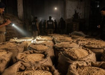 वसईत शिधावाटप धान्याचा काळाबाजार उघड; ११०० किलो धान्यसाठा जप्त!