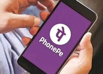 निष्क्रिय PhonePe वॉलेटवर आता शुल्क; दर तीन महिन्यांनी कापले जाणार १०० रुपये!
