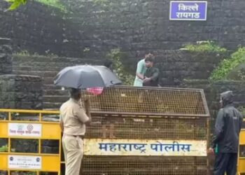 रायगडाच्या पायरी मार्गावर दरड कोसळली; शिवभक्तांसाठी मार्ग बंद!