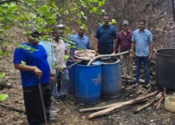 विरारमध्ये दारूच्या हातभट्टीवर पोलिसांची धाड; २ लाखांचा मुद्देमाल जागेवरच नष्ट!
