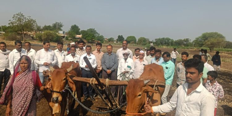 भूमिहीन शेतकऱ्याला नवजीवन! मुख्यमंत्री फडणवीसांच्या हस्तक्षेपाने मिळाला बैल आणि आर्थिक दिलासा