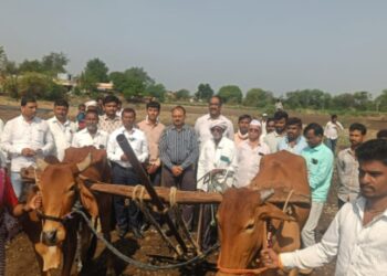 भूमिहीन शेतकऱ्याला नवजीवन! मुख्यमंत्री फडणवीसांच्या हस्तक्षेपाने मिळाला बैल आणि आर्थिक दिलासा