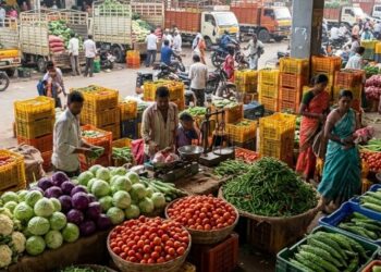 सलग पावसाचा एपीएमसी बाजाराला फटका! मागणी घटल्याने भाजीपाल्याच्या घाऊक दरात ४० टक्क्यांपर्यंत घसरण