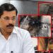 मुंबईतील ३ नामांकित हॉटेल्सचे परवाने रद्द; ३८ रक्तपेढ्याही रडारवर – FDA चा दणका!