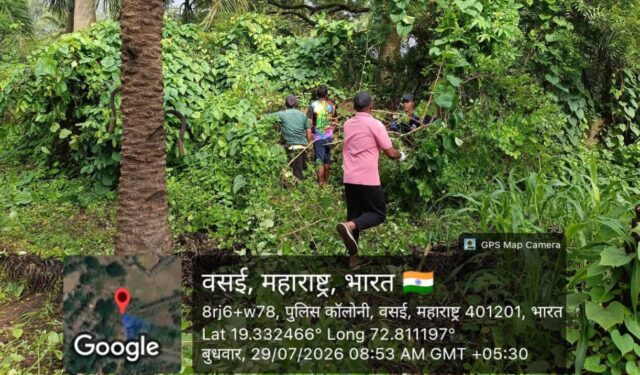 जंजिरे वसई किल्ल्यावर महापालिकेची विशेष स्वच्छता मोहीम