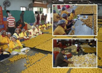 भाविकांच्या सोयीसाठी पंढरपूर देवस्थान सज्ज; विठ्ठल भक्तांसाठी ११ लाख बुंदी लाडूंचा महाप्रसाद!