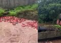 रायगड पूर : ३ हजार एलपीजी सिलेंडर पाण्यात वाहून गेले; नदीकाठच्या गावांना सतर्कतेचा इशारा!