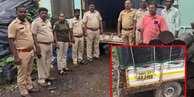वसईत भाजीपाल्याच्या टेम्पोत खैर लाकडाची तस्करी उघड; वन विभागाची धडक कारवाई, वाहनासह मुद्देमाल जप्त