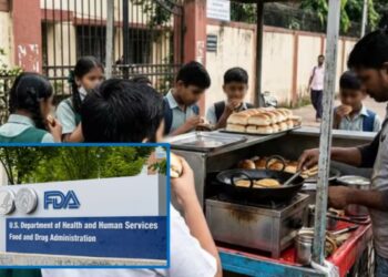 राज्यातील शाळांमध्ये जंक फूडवर कडक बंदी; FDA ॲक्शन मोडमध्ये!