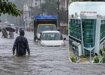 वसई-विरार पूरमुक्त करण्यासाठी मुंबई पॅटर्न ठरणार फायदेशीर; ठोस उपाययोजनांची गरज!
