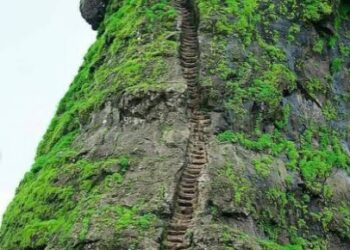 निसरड्या पायऱ्या आणि दाट धुक्याचा धोका; ‘हरिहर गडा’वर पर्यटकांना सक्त बंदी!