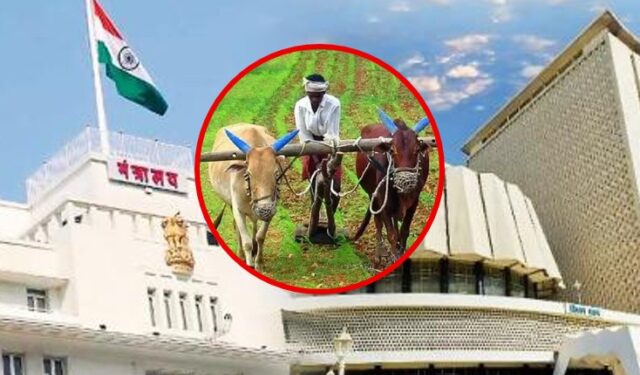 मंत्रिमंडळाचा मोठा निर्णय: शेतकरी अपघात सुरक्षा योजना आता संपूर्ण कुटुंबासाठी लागू!