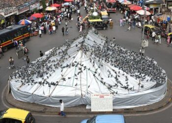 मुंबईकरांच्या लाडक्या दादर कबुतरखान्याचा होणार ‘कायापालट’