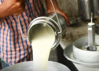 राज्यात सुट्या म्हशीच्या दुधाचे दर वाढणार; १ सप्टेंबरपासून घाऊक दर ९३ वरून १०२ रुपये!