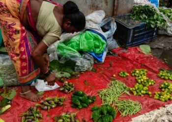 पावसाळी रानभाज्यांनी सजली वसई-विरारची बाजारपेठ!