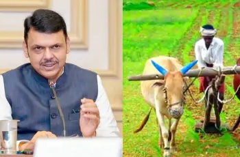 महाराष्ट्रातील २६५ तालुक्यांमध्ये अखेर दुष्काळ जाहीर; फडणवीस सरकारची शेतकऱ्यांसाठी मोठी घोषणा