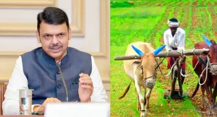महाराष्ट्रातील २६५ तालुक्यांमध्ये अखेर दुष्काळ जाहीर; फडणवीस सरकारची शेतकऱ्यांसाठी मोठी घोषणा