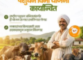 पशुधन विमा योजना: जनावरांना मिळणार विमा संरक्षण, ८५% खर्च सरकार करणार!