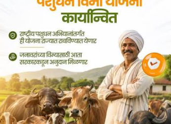 पशुधन विमा योजना: जनावरांना मिळणार विमा संरक्षण, ८५% खर्च सरकार करणार!