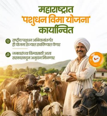 पशुधन विमा योजना: जनावरांना मिळणार विमा संरक्षण, ८५% खर्च सरकार करणार!
