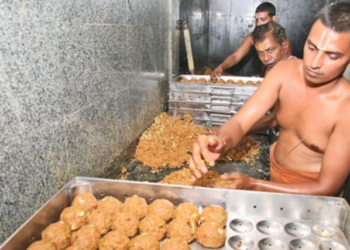 तिरुपती लाडू तूप भेसळ प्रकरणी ‘ईडी’चा मोठा दणका; ‘सुकृती फूड्स’चा मालक अटकेत!