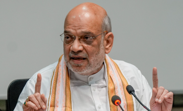 देशाच्या अंतर्गत सुरक्षेचा नवा चेहरा! गृहमंत्री अमित शाहंच्या कार्यकाळातील ‘कलम ३७०’ ते ‘ड्रग्जमुक्त भारत’सह १० मोठे निर्णय