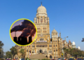 प्रदूषण पसरवणाऱ्या बेकऱ्यांवर पालिकेचा थेट हातोडा; आता नोटीस नाही, थेट टाळे ठोकणार!