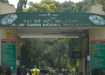 नॅशनल पार्कमध्ये शिकारीचा थरार! पालिका कर्मचाऱ्याचा गोळीबारात मृत्यू; पुरावे लपवल्याप्रकरणी डॉक्टरसह चौघे अटकेत